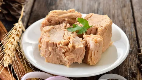 تصویر 3 از خرید تن ماهی در روغن گیاهی + قیمت عالی باکیفیت